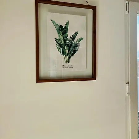 Atico Con Aire Acondicionado Y Terraza Apartment *